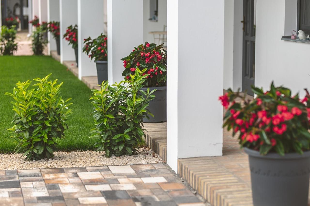Palkonyha Panzio Speiz Gasztromuhely Bed & Breakfast Palkonya Exterior photo